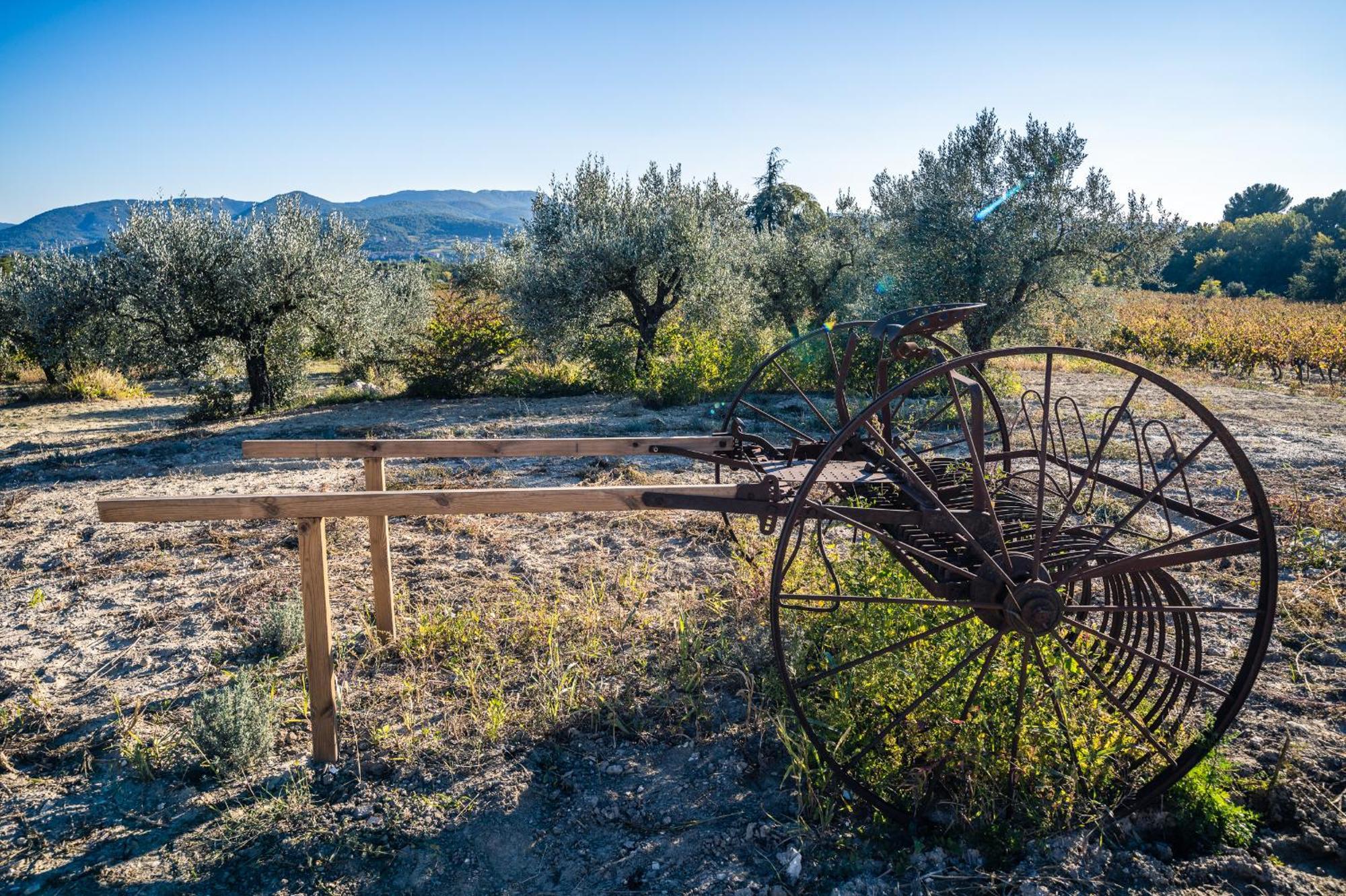 Gite "La Sainte-Croix", Traditional Provencal House For 8 People, Private Swimming-Pool, Air-Conditioner, Beautiful Scenery Vaison-la-Romaine Eksteriør billede